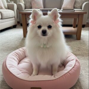 Handmade XS Pastel Green, Blue, & White Beaded Dog Collar, Size 9.5”